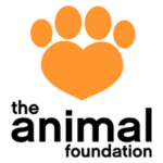 The_Animal_Foundation (Demo)